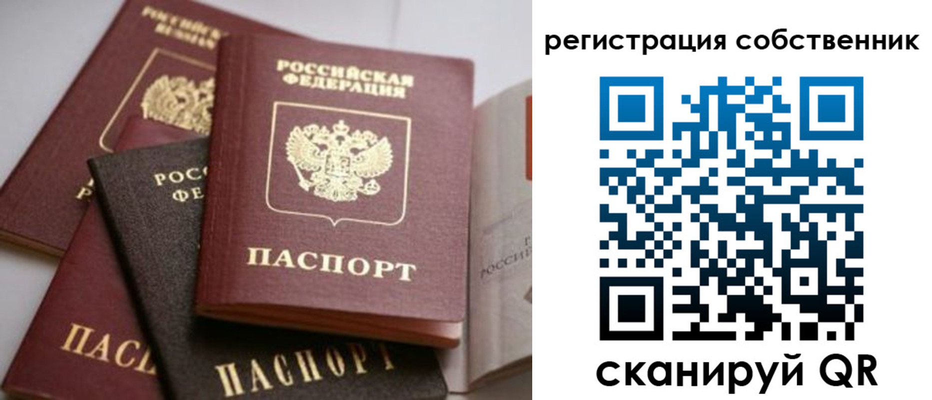временная регистрация поиск в Ростове